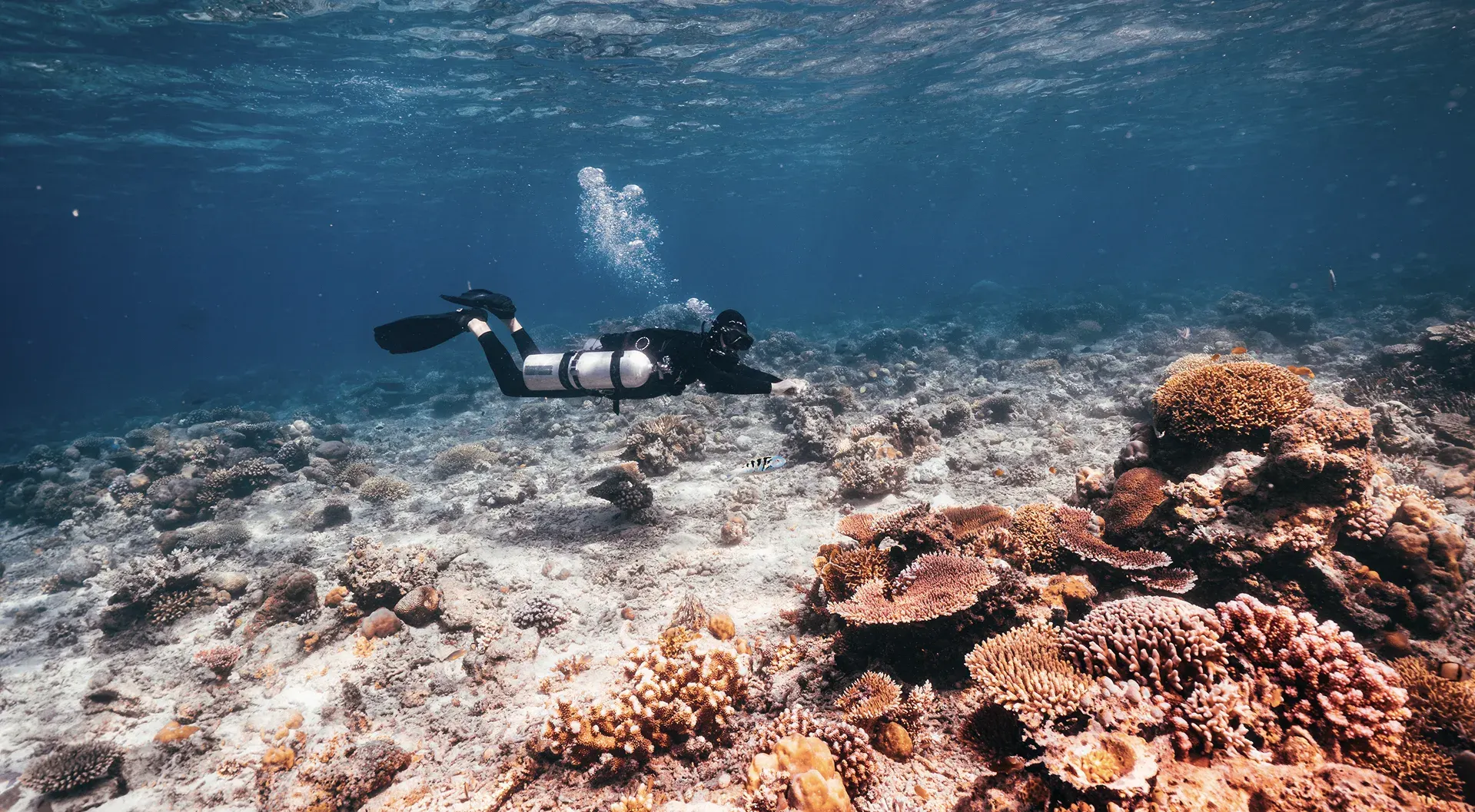 Scuba diver swimming over a coral reef through the AREX mask